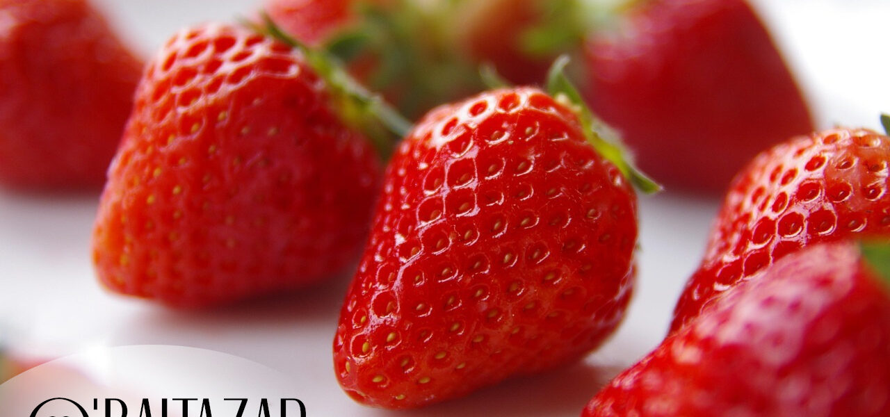 Frais d'Alsace O Baltazar